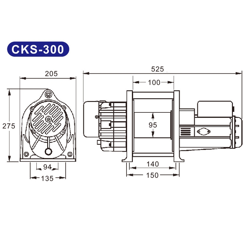 CKS-300